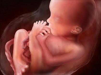 dojenček pri 18 tednih nosečnosti