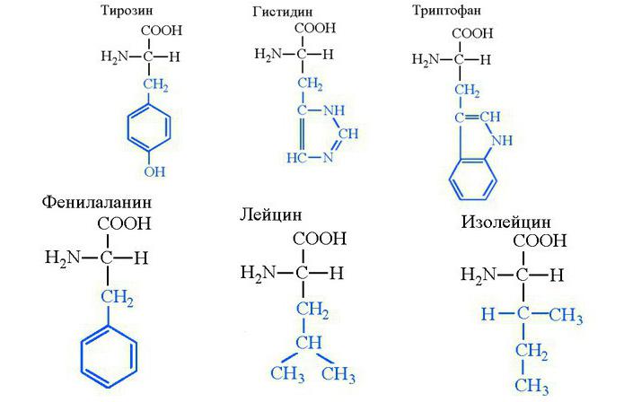 Názvy aminokyselin