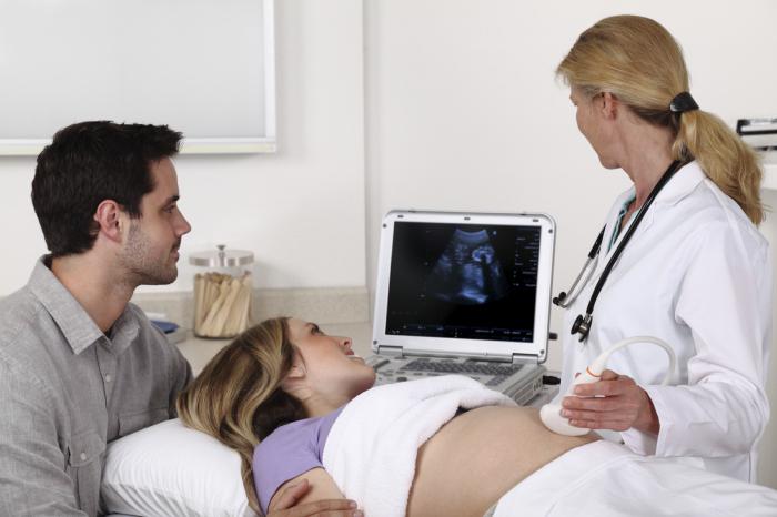 feto a 22 settimane di gestazione