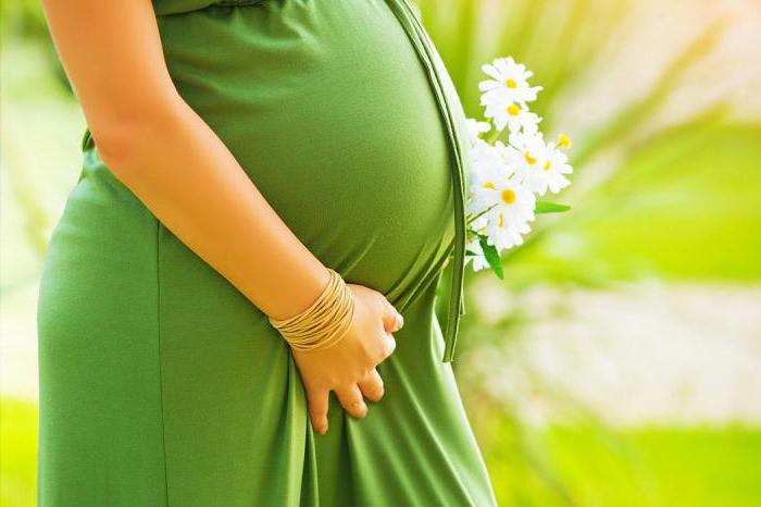 23 tedna nosečnosti, kaj se zgodi s plodom