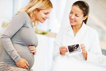 gravidanza 24 settimane di sviluppo fetale