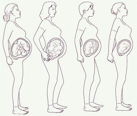 24 tedna nosečnosti, kaj se zgodi
