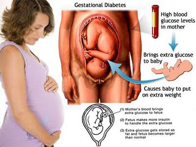 těhotenství 26 týdnů tělesné hmotnosti dítěte