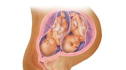 29 седмица от бременните близнаци