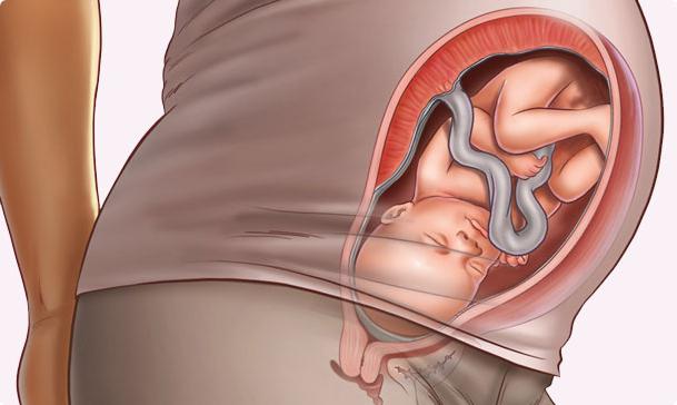 30 tednov nosečnosti, težo ploda, mešanje, porod