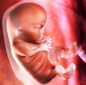 gravidanza foto fetale di 9 settimane