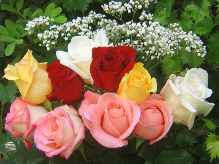bouquet di rose bellissime
