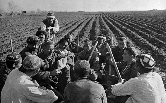 fattorie collettive nell'URSS
