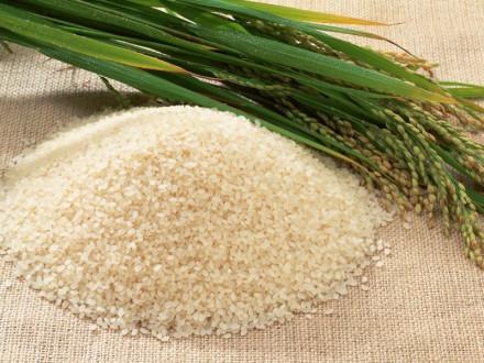 Gustoso porridge di riso
