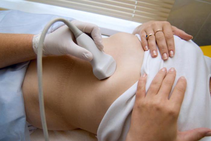 ultrazvuk břišních orgánů