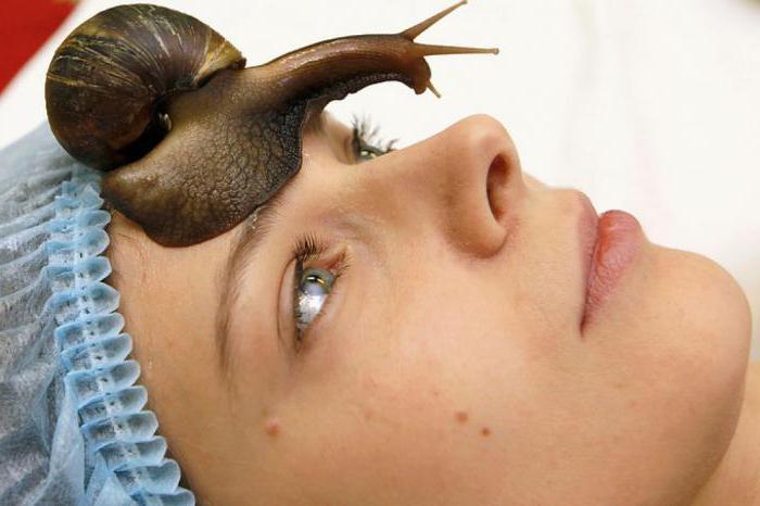 Zdjęcie ślimaka Achatina w kosmetologii
