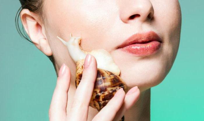 wykorzystanie ślimaków Achatina w kosmetologii