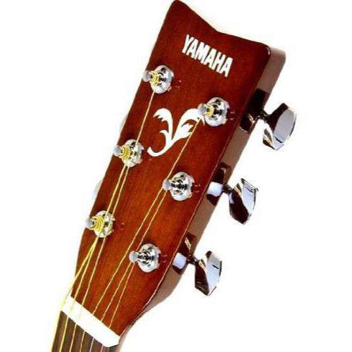 akustická kytara yamaha f310 recenze