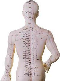 akupunkturní body na zadní straně