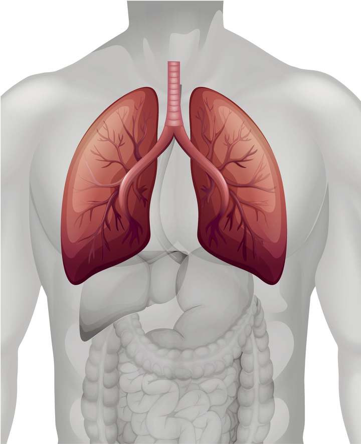 Gruczolakorak płuc: przyczyny, objawy, rozpoznanie, leczenie, rokowanie