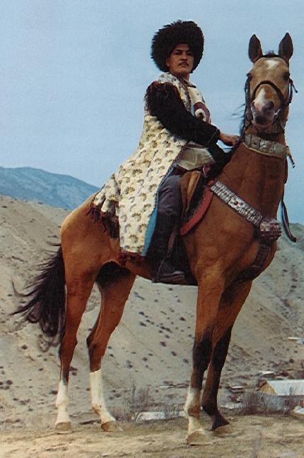 продаја коња пасмине Акхал-Теке у Русији