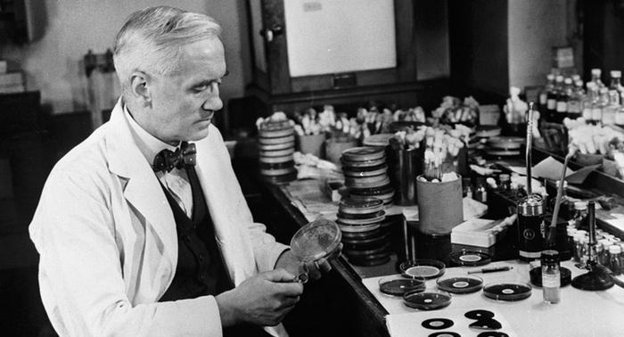 Alexander Fleming w swoim laboratorium