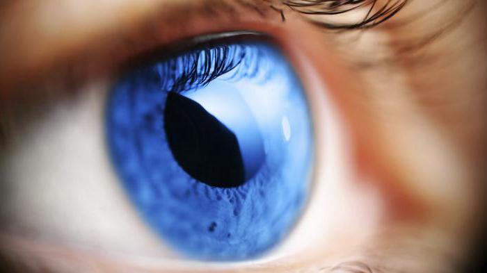Алфаган очни капки аналози