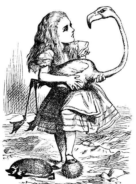 Alice Cat in Wonderland