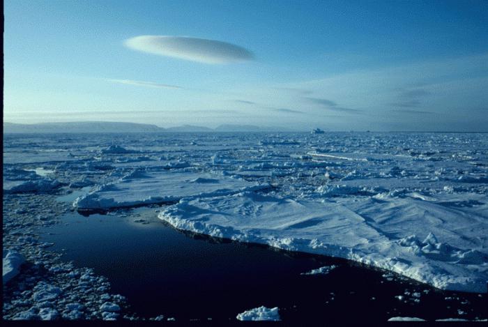Morze Barentsa