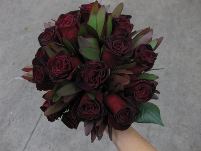 Črne vrtnice