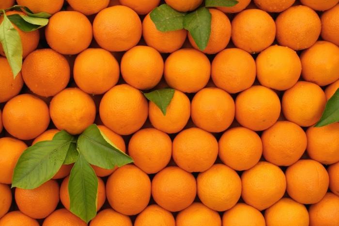proprietà utili arancioni