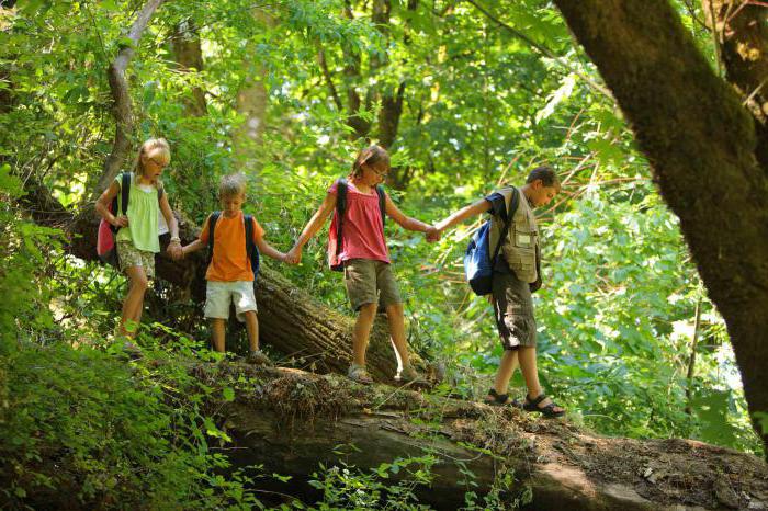 zagadki o lesie dla dzieci