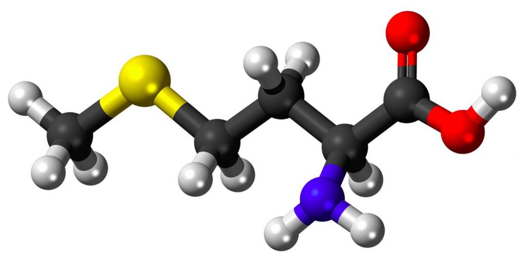 Aminokwasy zawierające siarkę