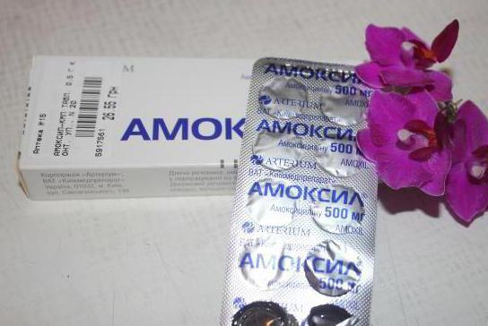 amoksil analoge