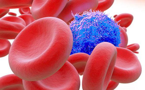analýza nádorových buněk v těle, jak se nazývá