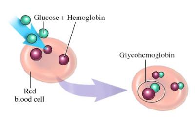 glykosylovaného hemoglobinu