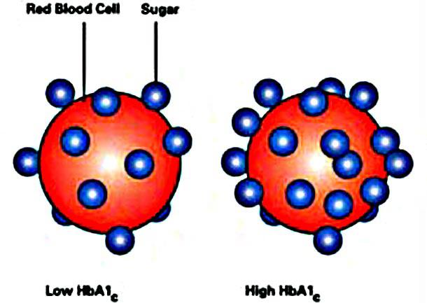 glykosylovanou hemoglobinovou normou