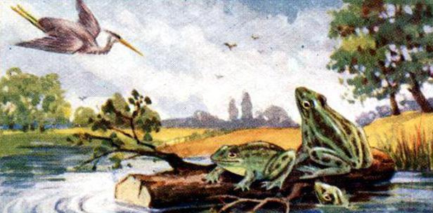 приказката на крилата жаба, която молеше царя за анализ