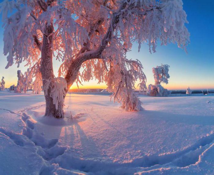 analiza wiersza zimowego poranka zgodnie z planem