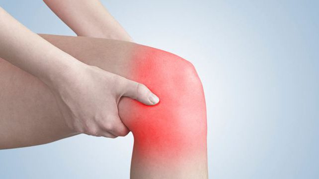 анатомия на човешкото коляно