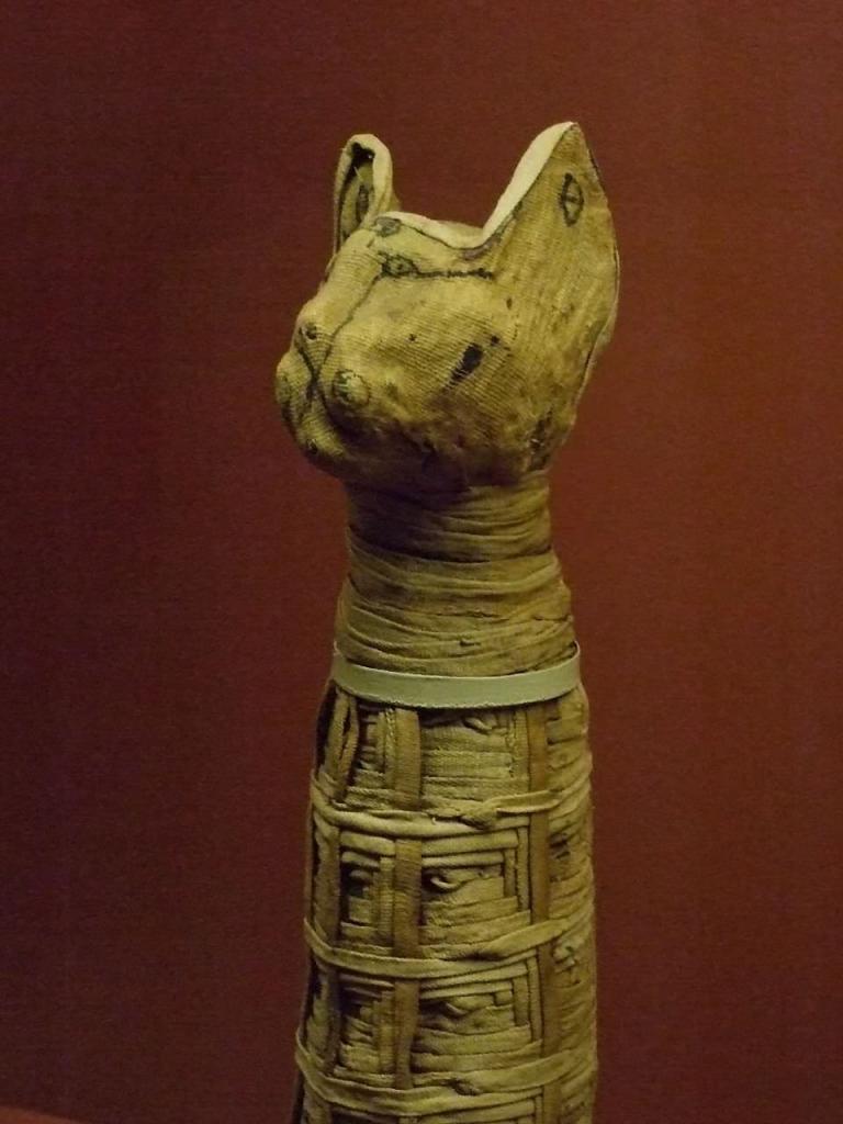 Mumifikovaná kočka