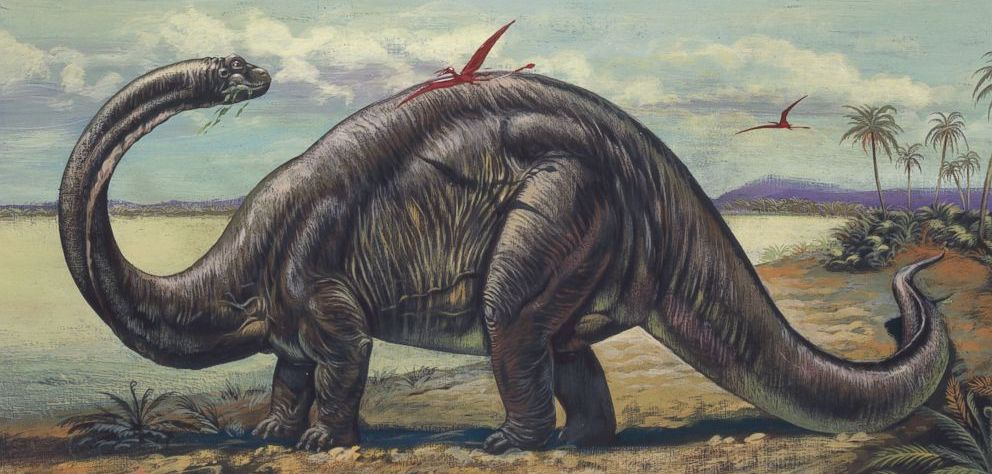 Rettile brontosauro