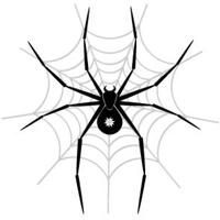 kolik nohou má pavouk