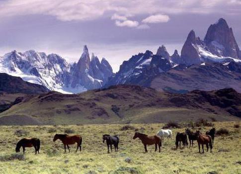 terraferma dove sono le montagne delle Ande