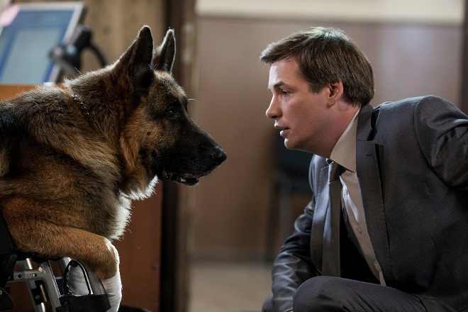 Andrei Saminin w serialu "Pies"