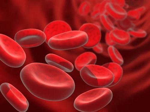 anemia, co to jest