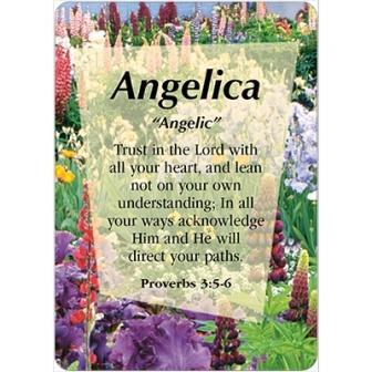 Angelica význam názvu