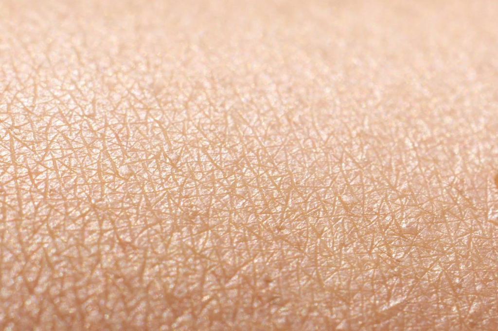 epitelio della pelle