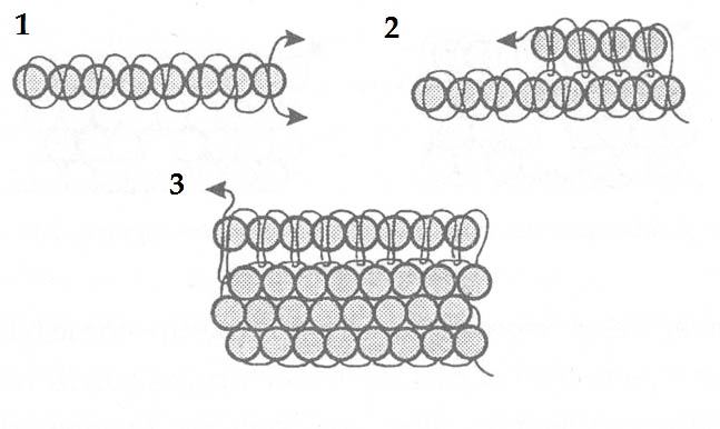 zvířecí korálky tkaní schéma