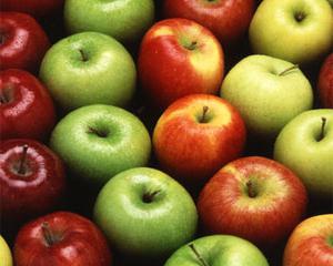 sušené jablka prospěch a poškození
