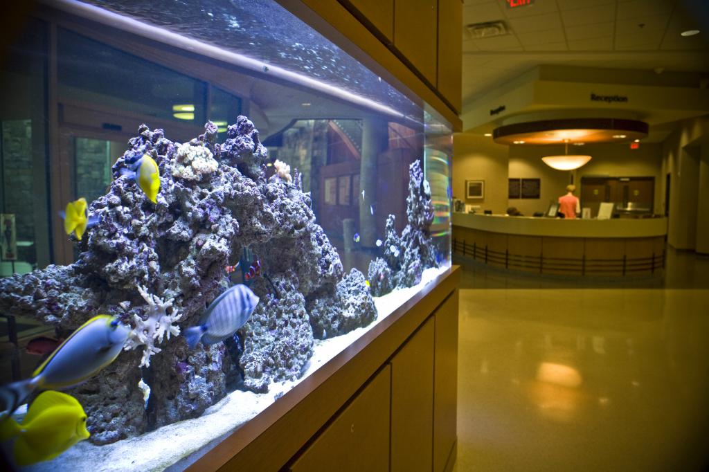 Дизајн акваријума 200 литара фотографија