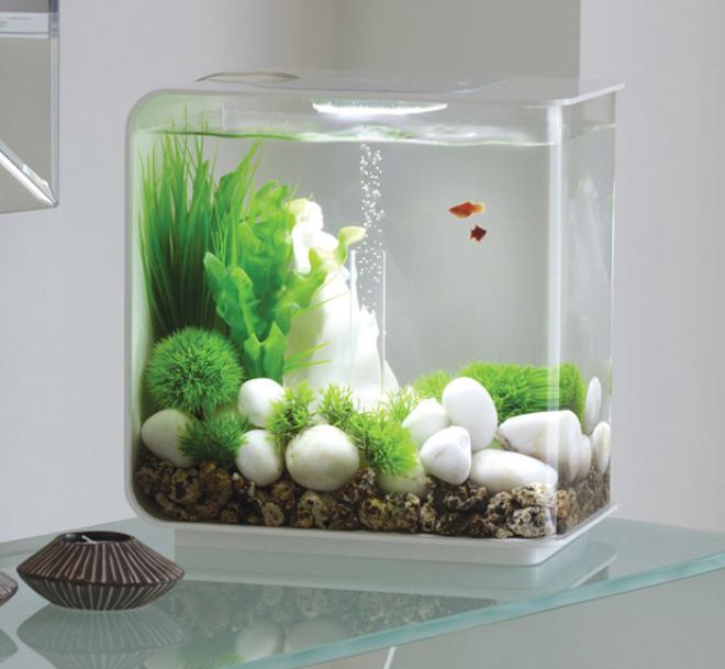 mini akvárium