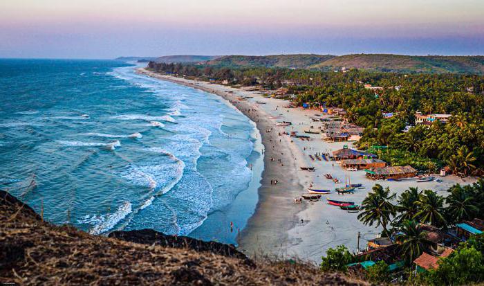 Arambol Plaza Beach Resort Goa