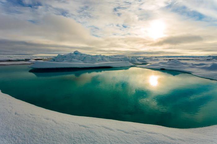 arktička priroda