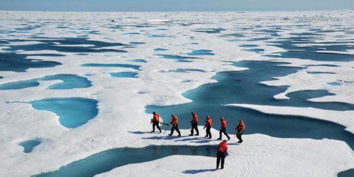 Арктически изследователи